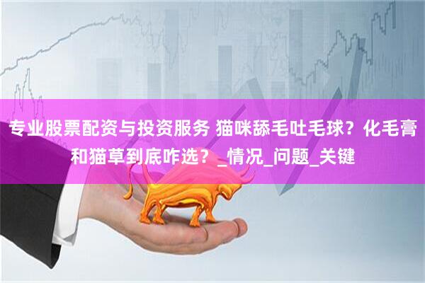 专业股票配资与投资服务 猫咪舔毛吐毛球？化毛膏和猫草到底咋选？_情况_问题_关键