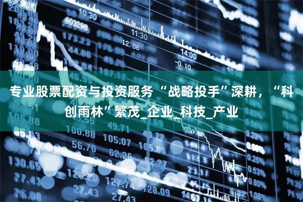 专业股票配资与投资服务 “战略投手”深耕，“科创雨林”繁茂_企业_科技_产业